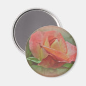 Aimant Rose de paix en fleurs (Recto/Verso)
