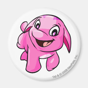 Aimant Rose de Poogle