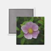 Aimant Rose de rose sauvage (Recto/Verso)