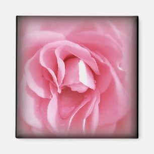 Aimant rose de Vignetted