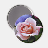 Aimant Rose délicat (Recto/Verso)