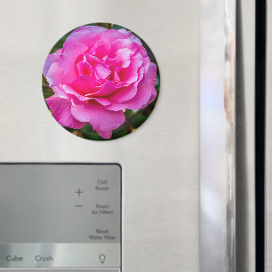 Aimant Rose délicate.