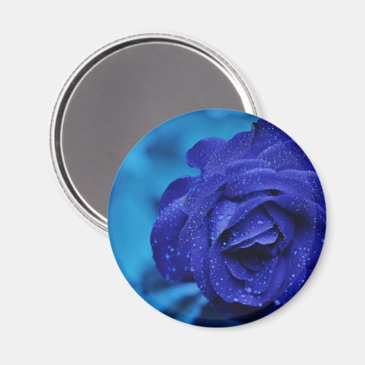 Aimant Rose Dewdrop bleu (Recto/Verso)