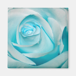 Aimant Rose d'Ice