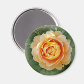 Aimant Rose d'or (Recto/Verso)