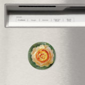 Aimant Rose d'or (In Situ (Lave-vaisselle))