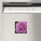 Aimant Rose du jardin Magenta (In Situ (Lave-vaisselle))