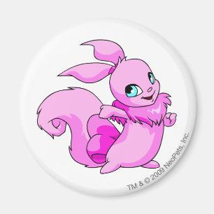 Aimant Rose d'Usul