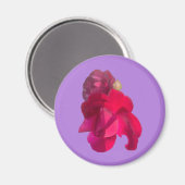 AIMANT ROSE E (Recto/Verso)