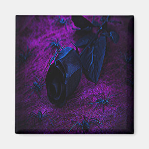 Aimant Rose éffrayant en matière noire, araignées noires