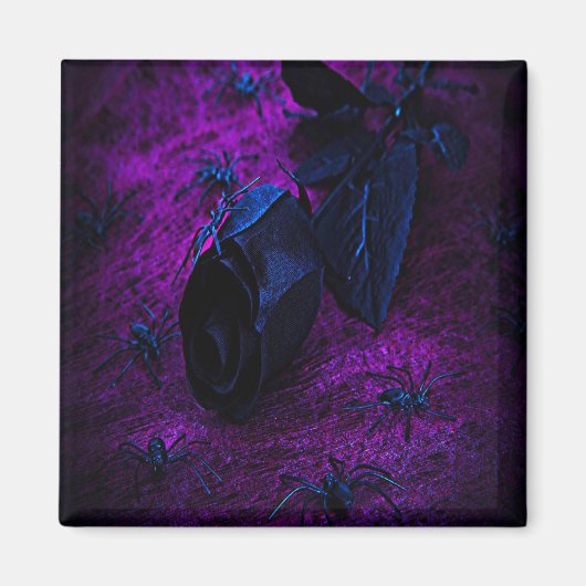 Aimant Rose éffrayant en matière noire, araignées noires (Devant)