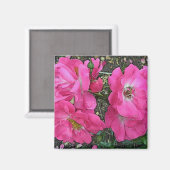 Aimant Rose Escalade rose (Recto/Verso)