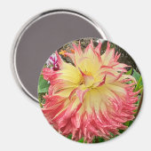 Aimant rose et jaune Dahlia (Recto/Verso)