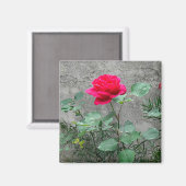 Aimant Rose et pierre (Recto/Verso)