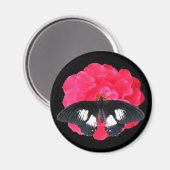 Aimant Rose et Swallowtail (Recto/Verso)