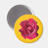 AIMANT ROSE F (Recto/Verso)