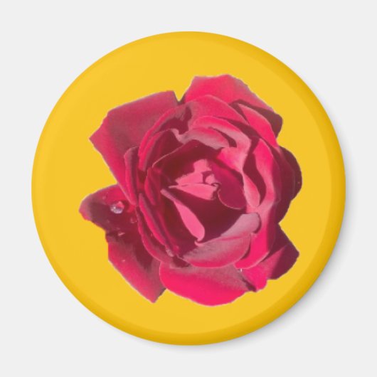 AIMANT ROSE F (Devant)