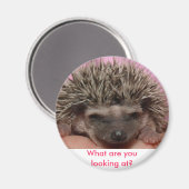 Aimant rose foncé 3, Que regardez-vous ? (Recto/Verso)