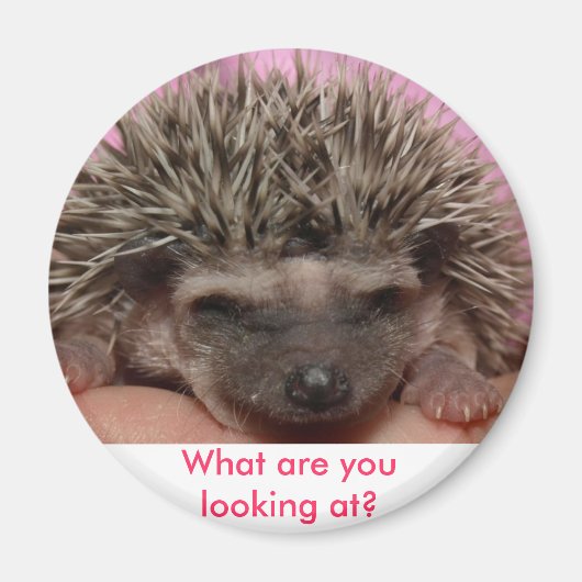 Aimant rose foncé 3, Que regardez-vous ? (Devant)