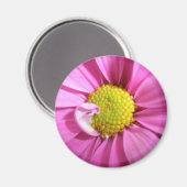 Aimant rose Gerber Daisy (Recto/Verso)