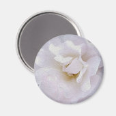 Aimant Rose gris rose (Recto/Verso)