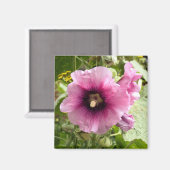 AIMANT ROSE HOLLYHOCK (Recto/Verso)