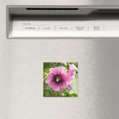 AIMANT ROSE HOLLYHOCK (In Situ (Lave-vaisselle))