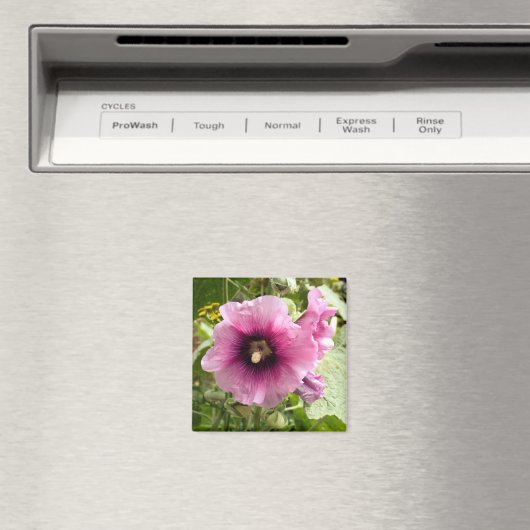 AIMANT ROSE HOLLYHOCK (In Situ (Lave-vaisselle))