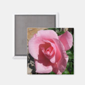 Aimant Rose III Jardin Floral (Recto/Verso)