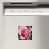 Aimant Rose III Jardin Floral (In Situ (Lave-vaisselle))