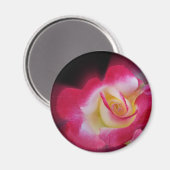 Aimant rose jaune (Recto/Verso)