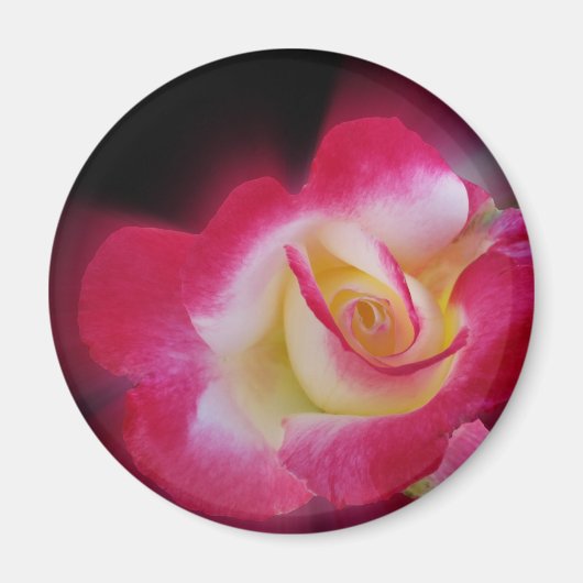 Aimant rose jaune (Devant)