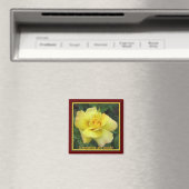Aimant Rose jaune (In Situ (Lave-vaisselle))