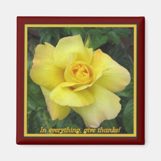 Aimant Rose jaune (Devant)