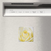 Aimant rose jaune (In Situ (Lave-vaisselle))