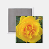 Aimant Rose jaune (Recto/Verso)