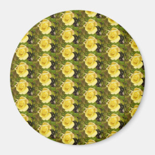 Aimant rose jaune