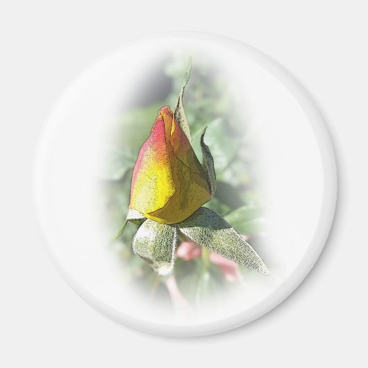 Aimant rose jaune (Devant)