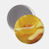 Aimant rose jaune (Recto/Verso)