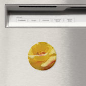 Aimant rose jaune (In Situ (Lave-vaisselle))