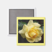Aimant rose jaune (Recto/Verso)