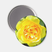 Aimant rose jaune (Recto/Verso)