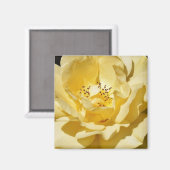 Aimant rose jaune (Recto/Verso)