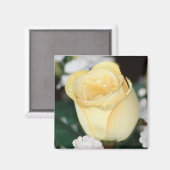 Aimant Rose jaune (Recto/Verso)