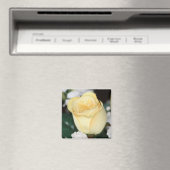 Aimant Rose jaune (In Situ (Lave-vaisselle))