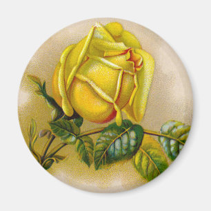 Aimant Rose jaune Antique Vintage Imprimer Art