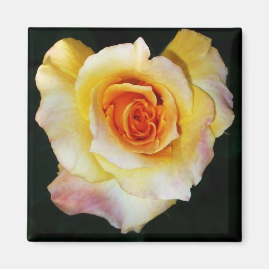 Aimant Rose jaune en forme de coeur (Devant)