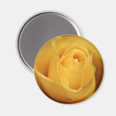 Aimant Rose jaune, S Cyr (Recto/Verso)
