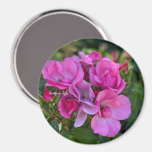 Aimant Rose lavande rose (Recto/Verso)