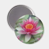 Aimant Rose Lotus Water Lily (Recto/Verso)